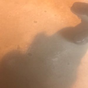 Meet your Posher, Charischaris